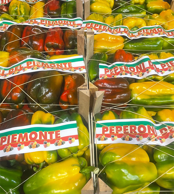 Peperoni - Carmagnola - 1,40/1,60 euro al chilogrammo